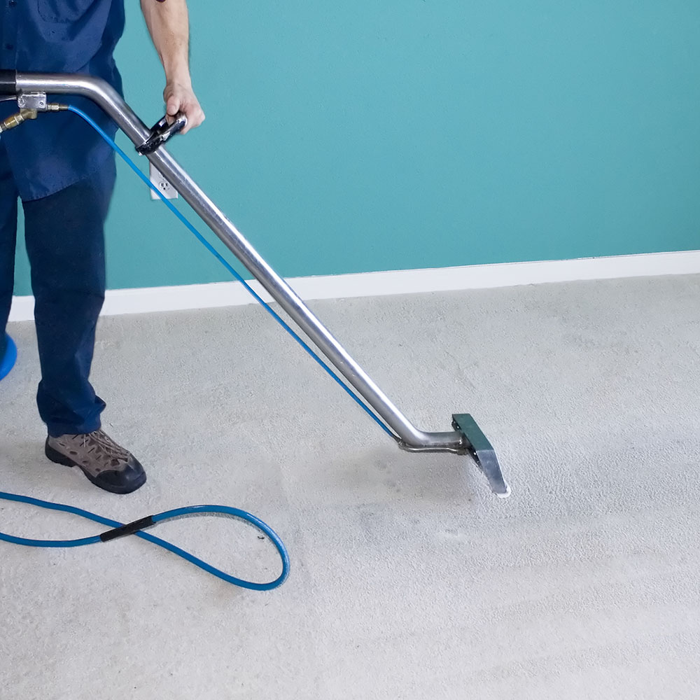 Carpet Cleaning Portland ME and Area
