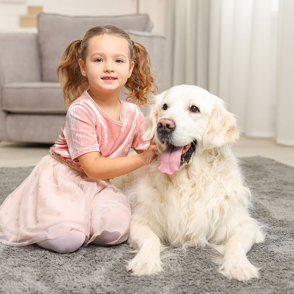 Falmouth Maine Carpet Cleaning Services