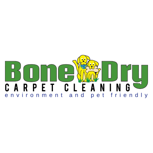 Bone Dry Carpet Cleaning & Water Damage Restoration photo