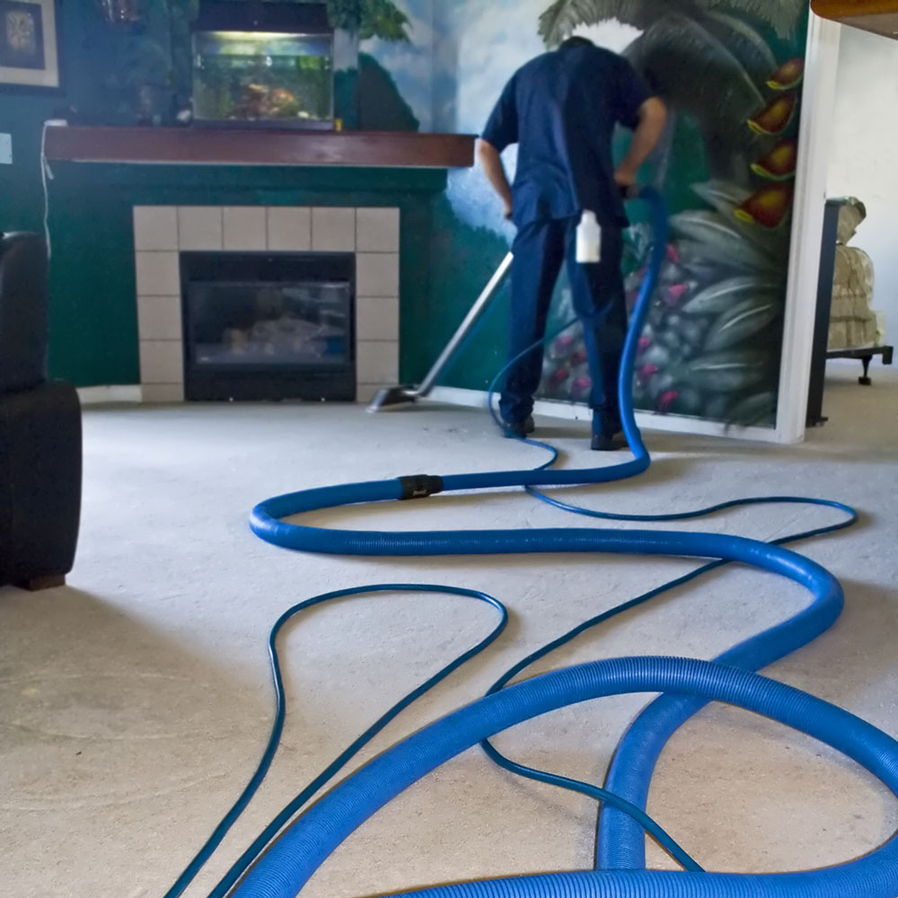 Professional Carpet Cleaning Portland ME
