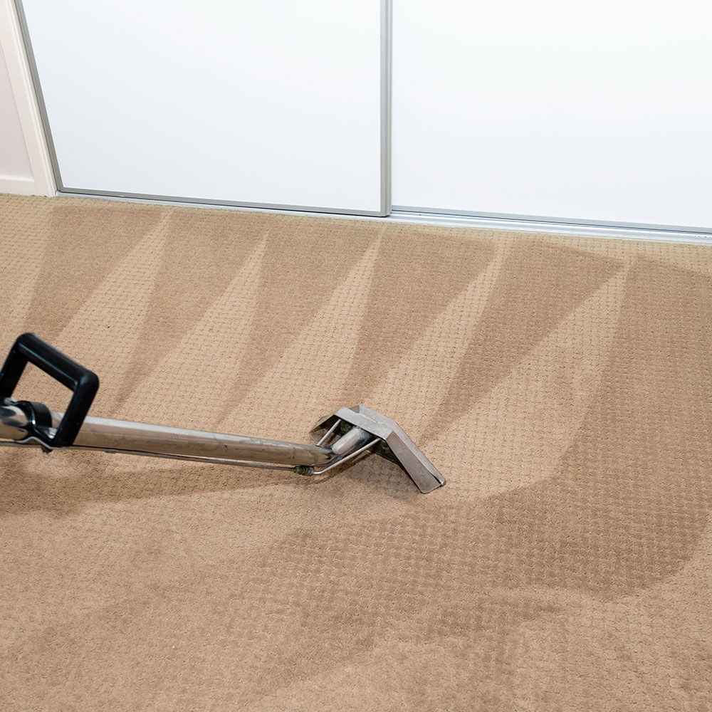 South Portland Maine Carpet Cleaning Services